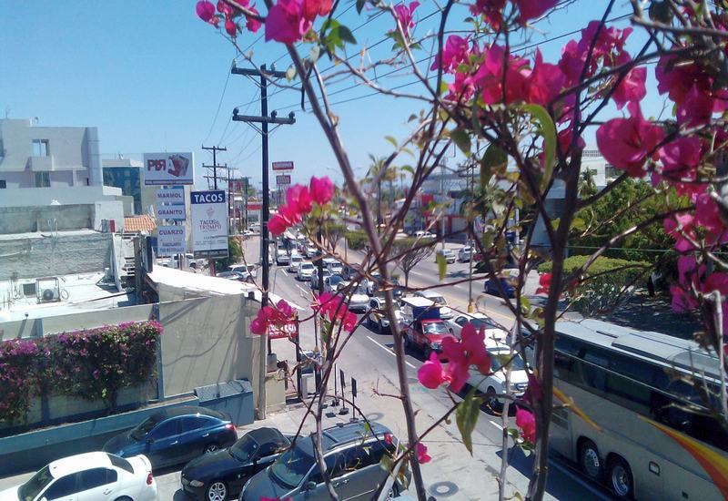 Hotel Mazatlán Eksteriør bilde